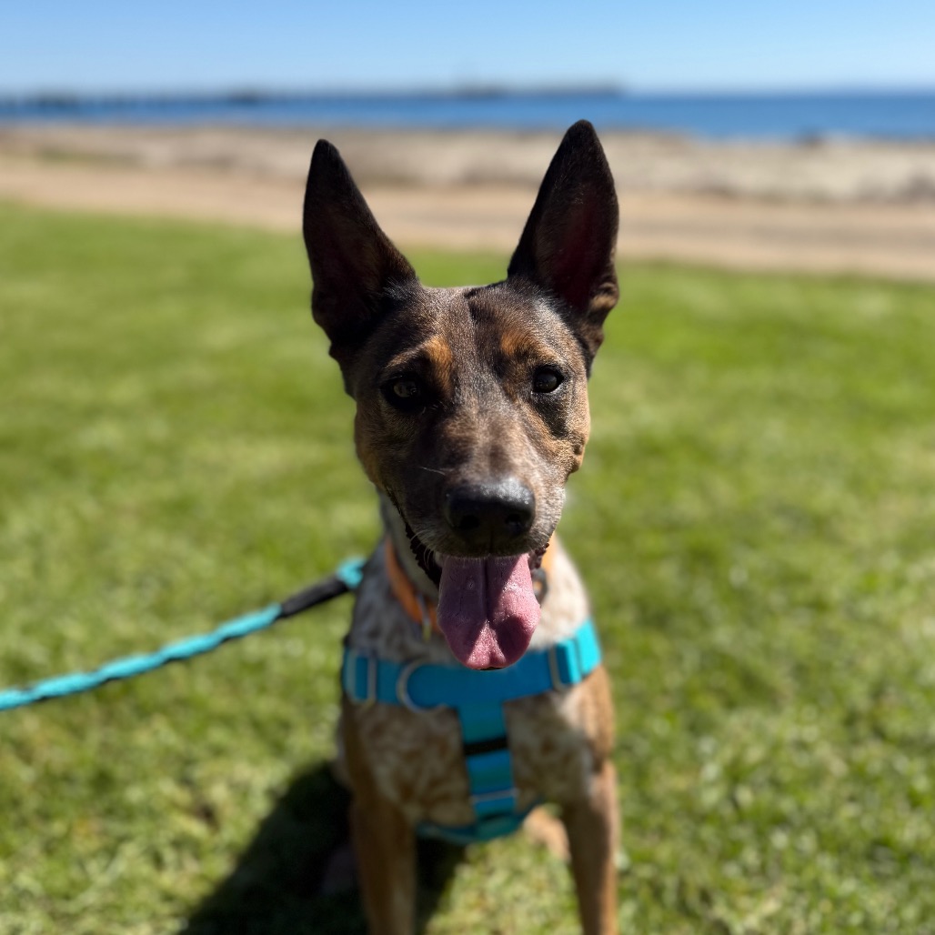 Cash, photo 25
