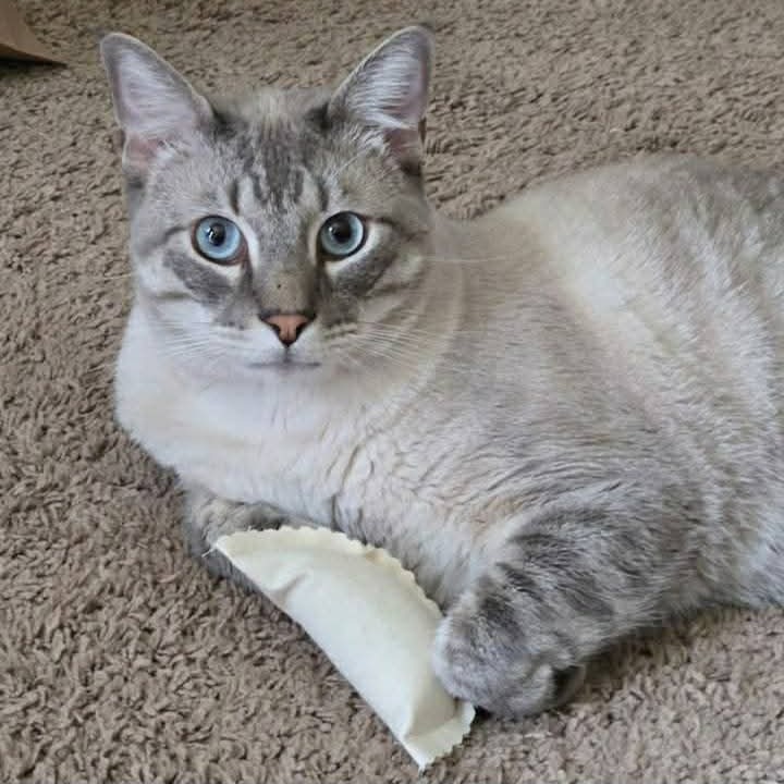 Photo of Beau 3