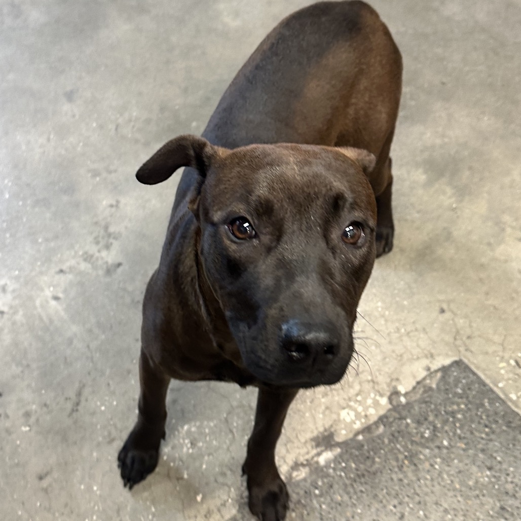 Coco — thumbnail 2