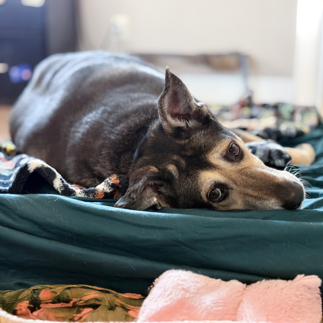 MADDY, photo 9