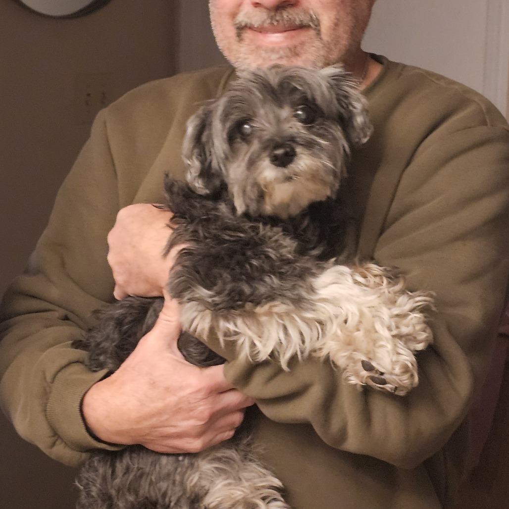 Animal named Bootsie