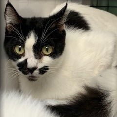 A#122(mom)'s preview photo