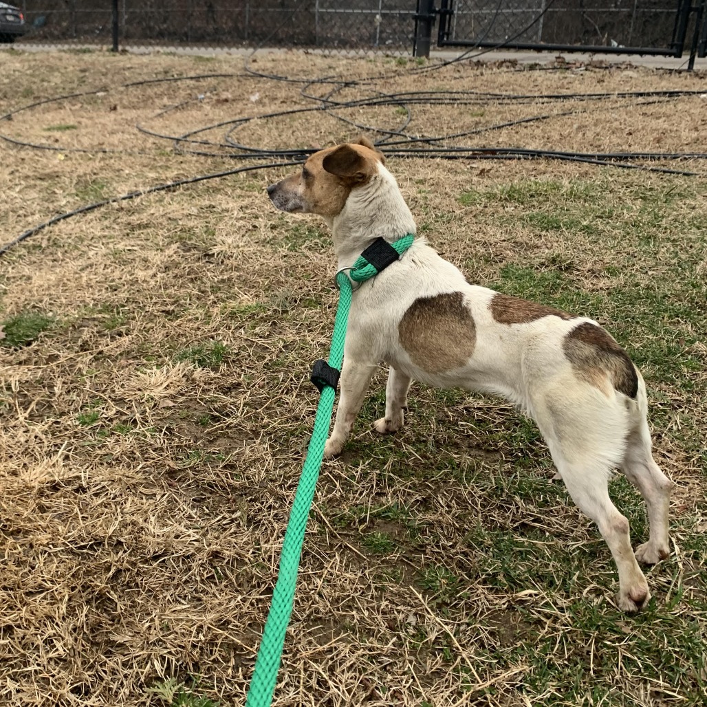 Myrtle — thumbnail 4