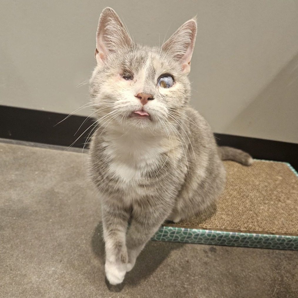 Elle Driver — thumbnail 10