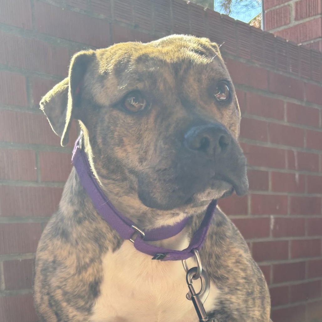 Photo of Baby Stripes 9