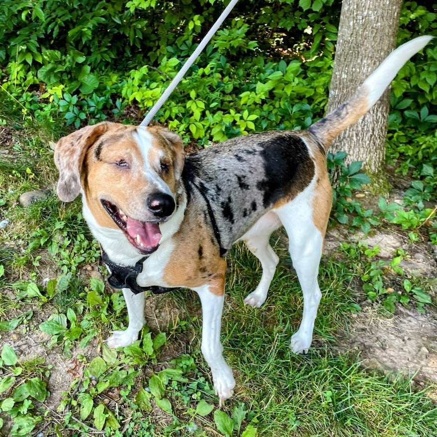 Rachel — thumbnail 4