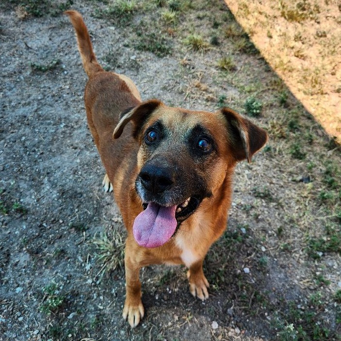 Mowgli photo 10