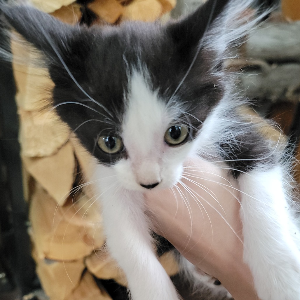 Zita, photo 3