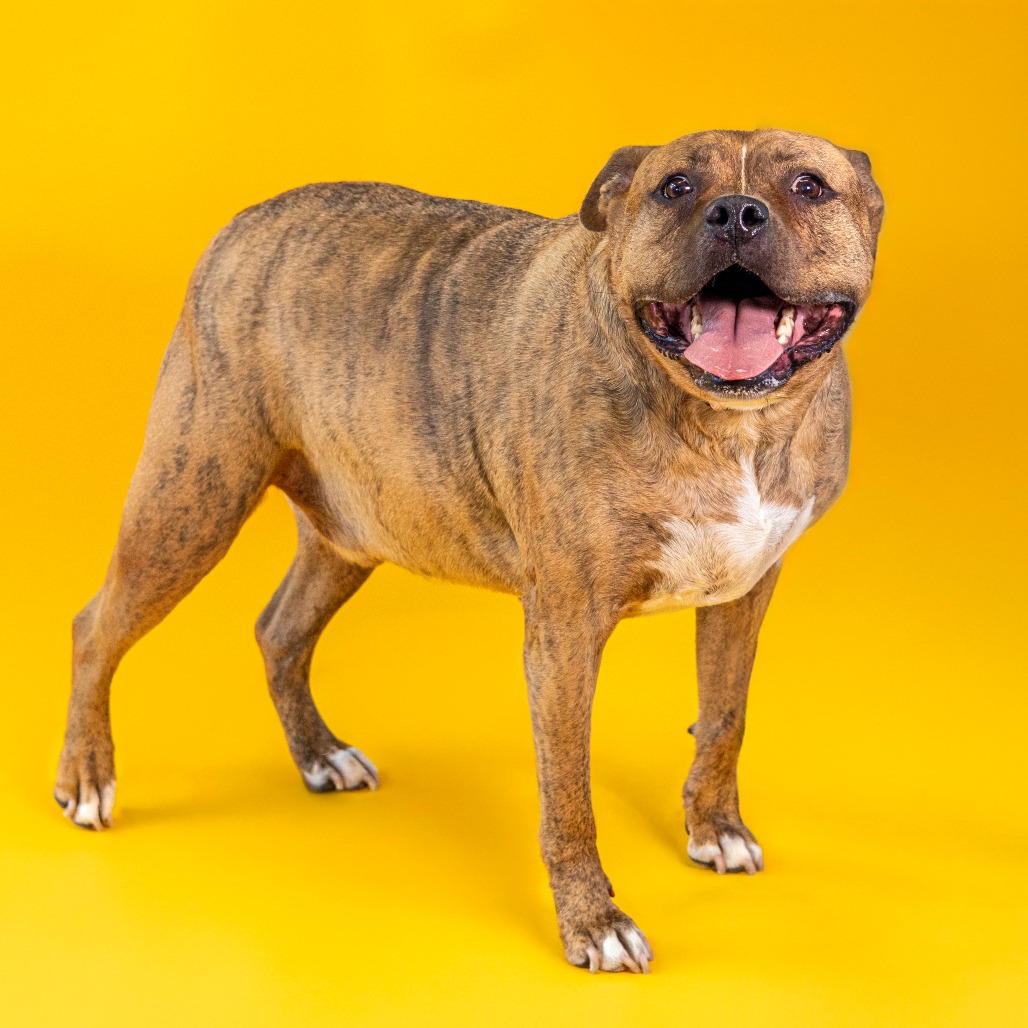 Zeus, additional photo