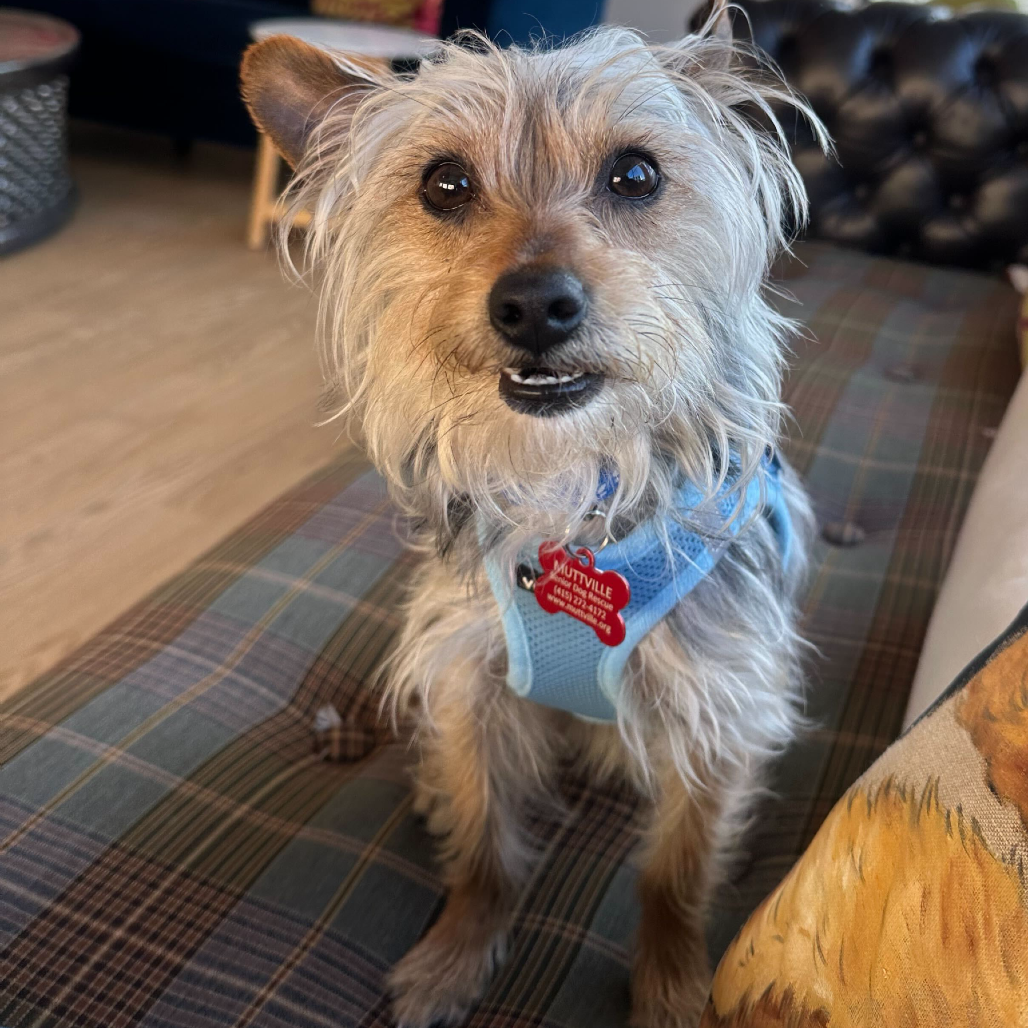 Fillmore 13764 — thumbnail 5