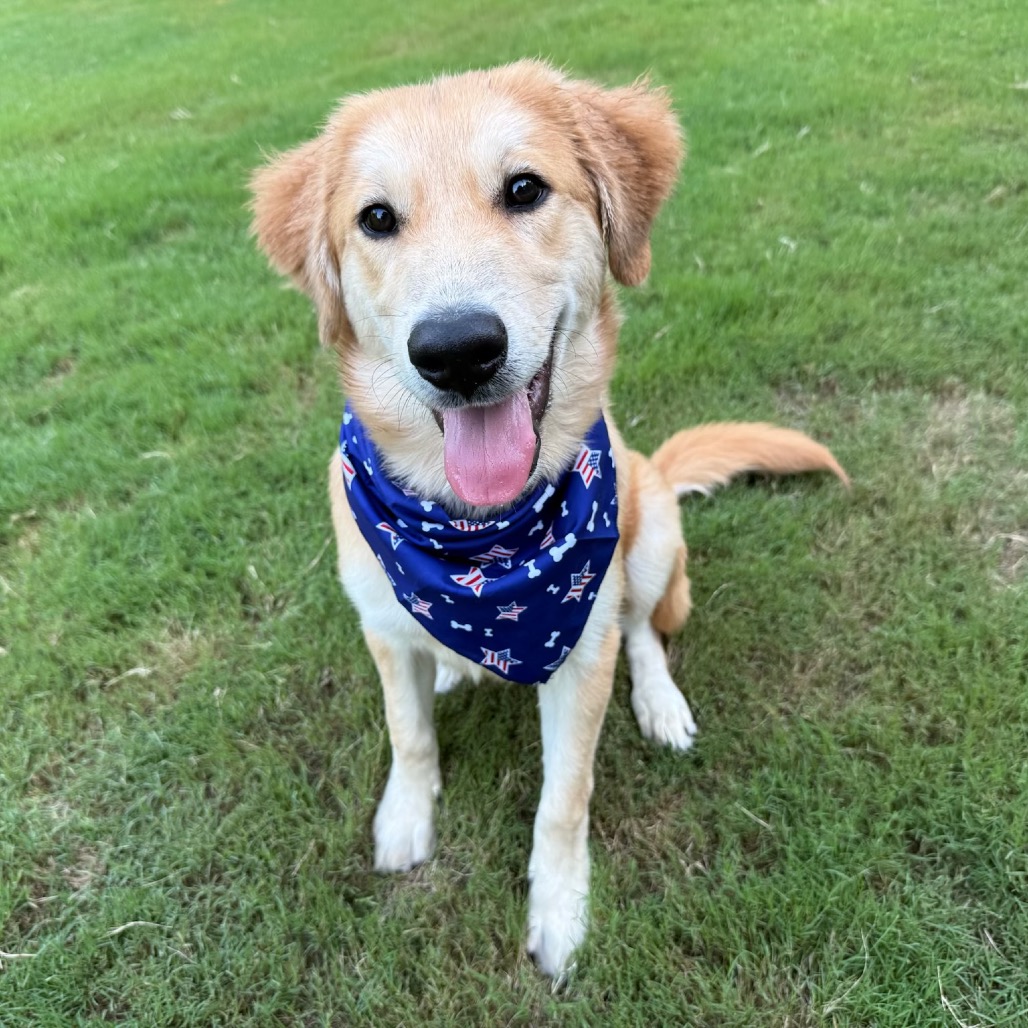 Oakley