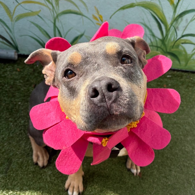 Full body shot of Mary Ann