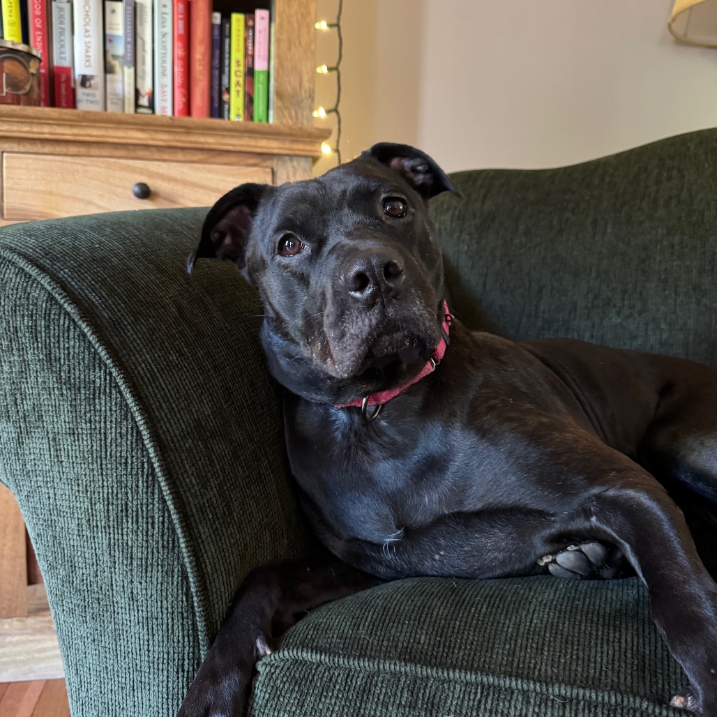Mama Luna, photo 4