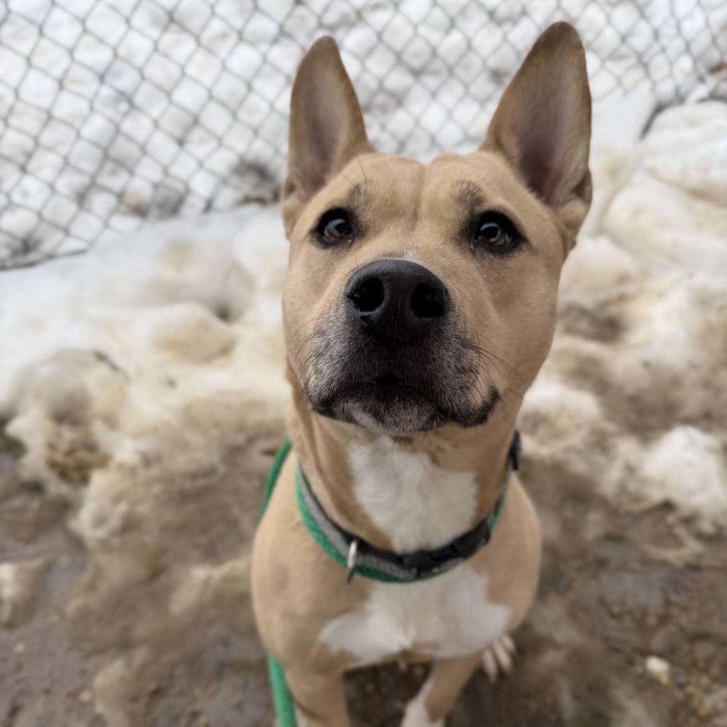 Marla — thumbnail 3