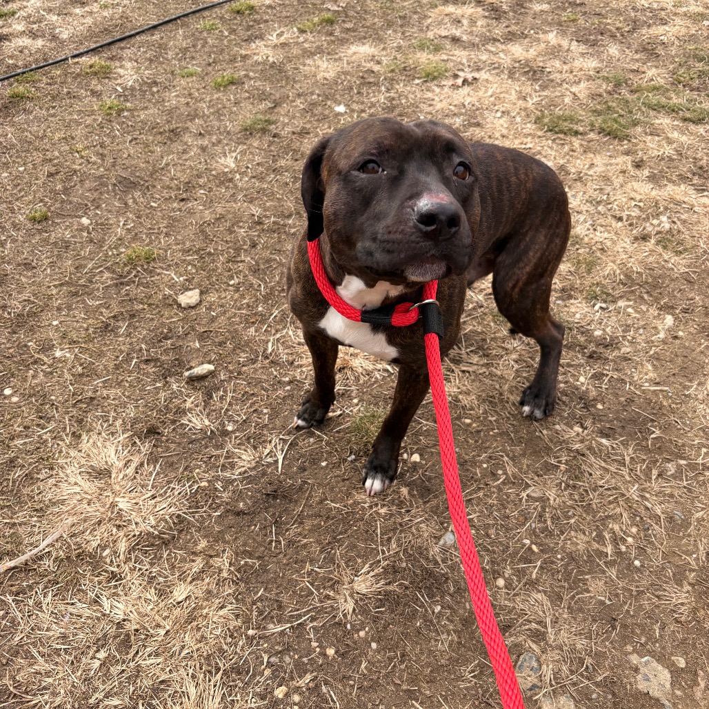 King Ludwig II — thumbnail 3