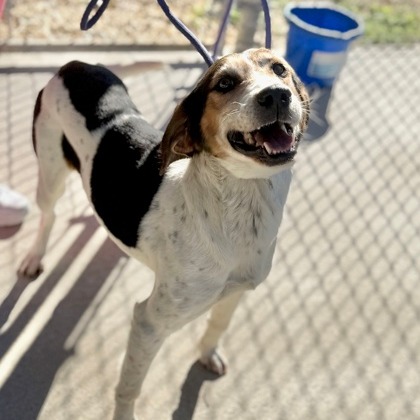 Cupid — thumbnail 2