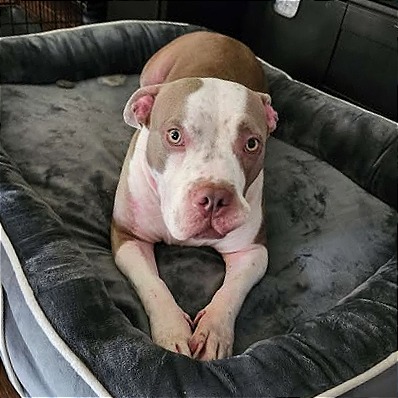 Photo of Mia (Sheila)
