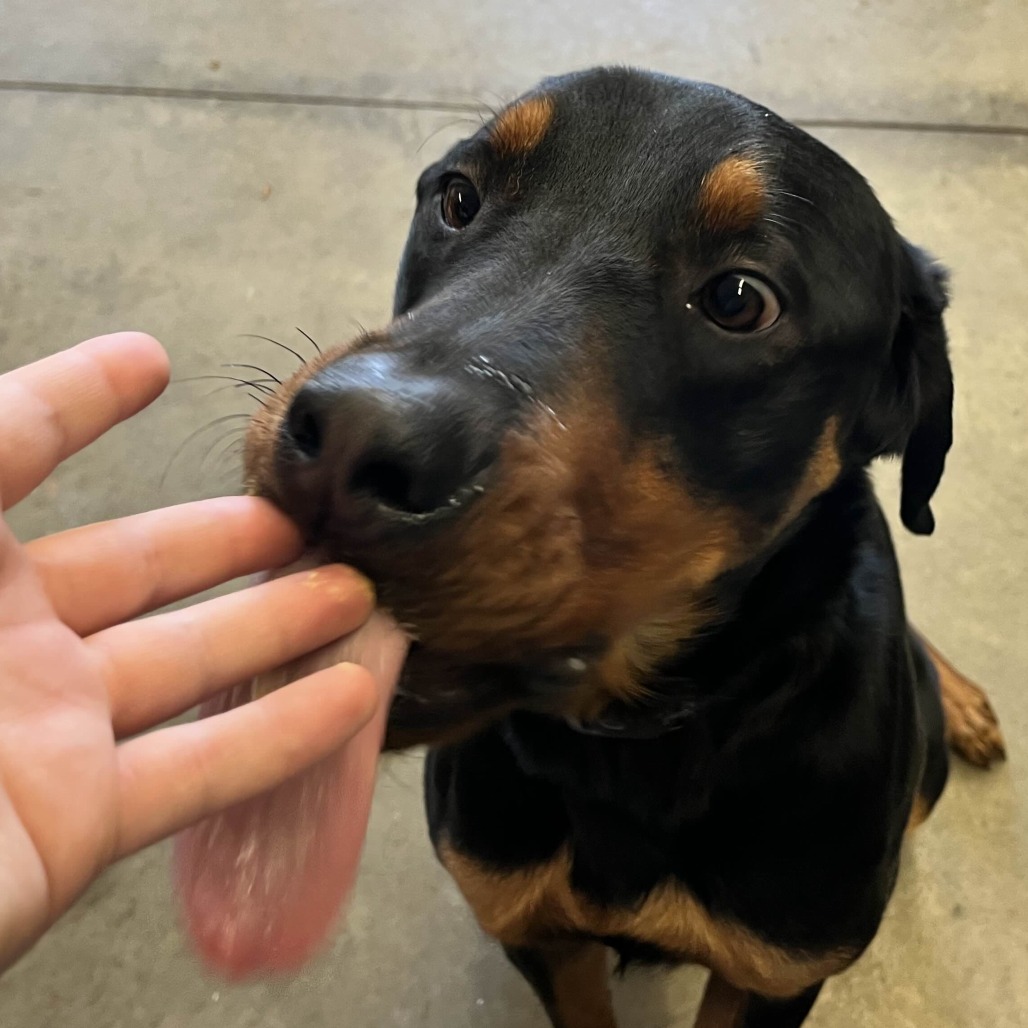 Atlas — thumbnail 2