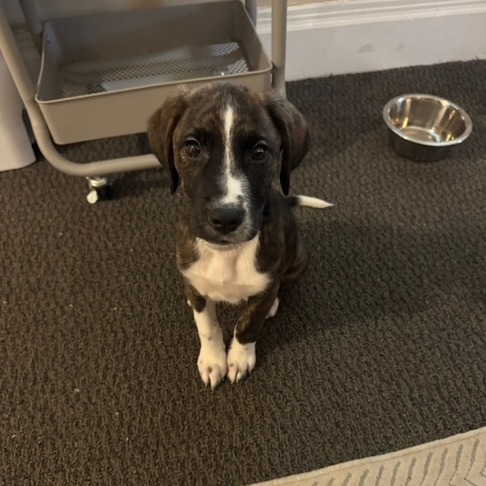 Winnie — thumbnail 2