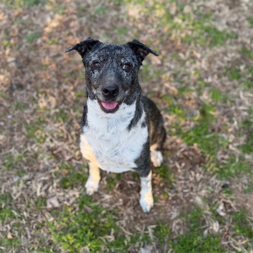 Sienna — thumbnail 4