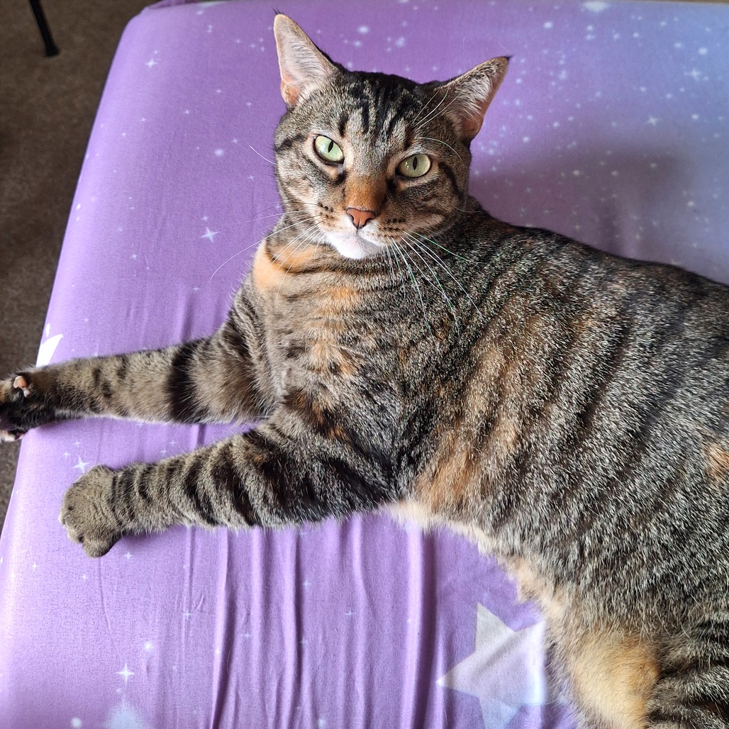 Ireland 31 — thumbnail 5