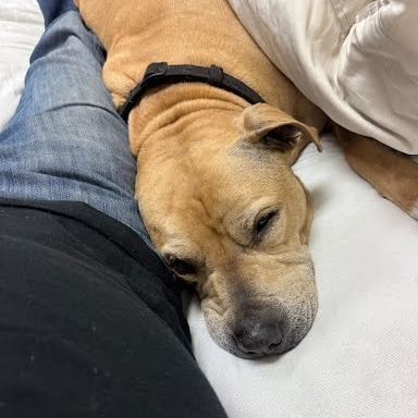 Sampson, photo 14