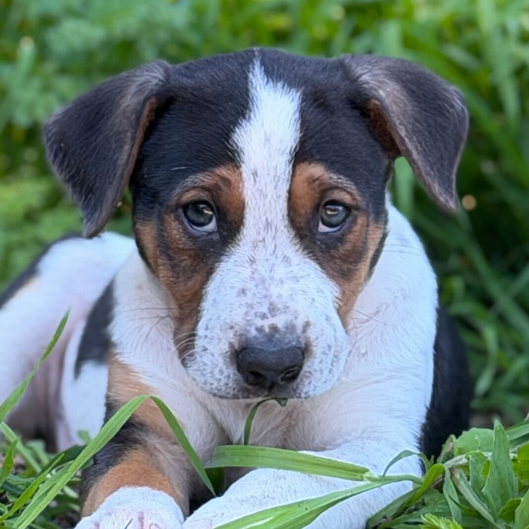 July — thumbnail 4