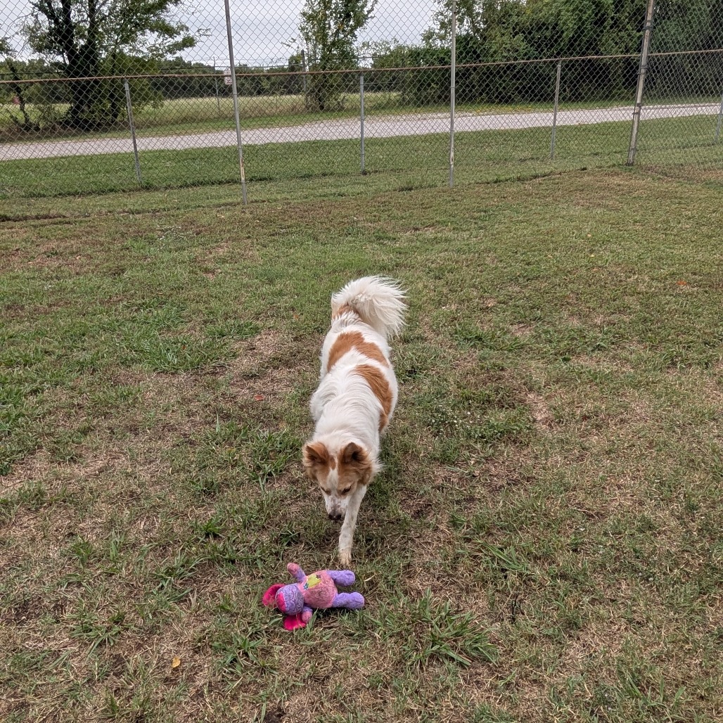 Sandy photo 14