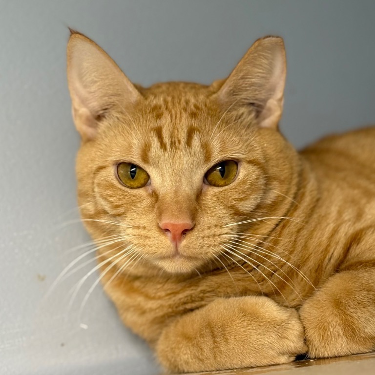 Full body shot of Fiyero