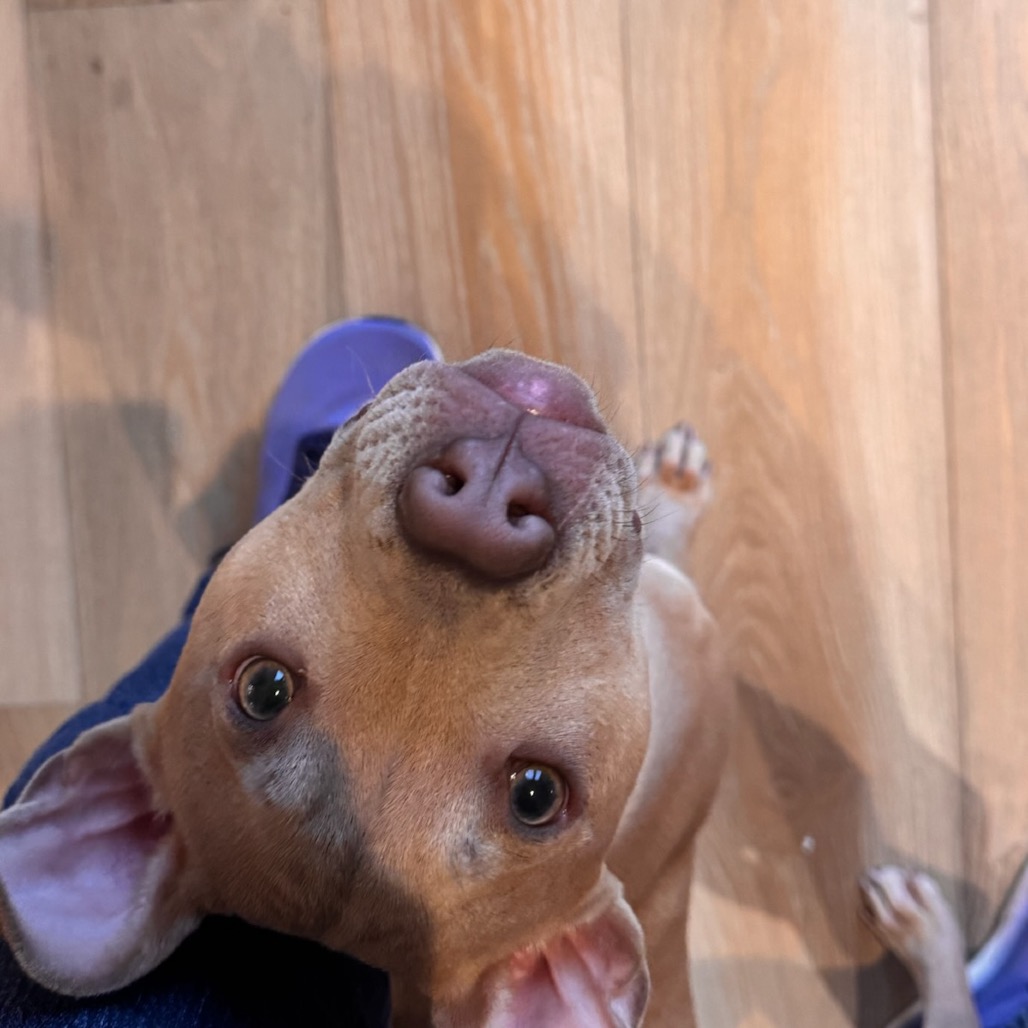 Cole — thumbnail 5