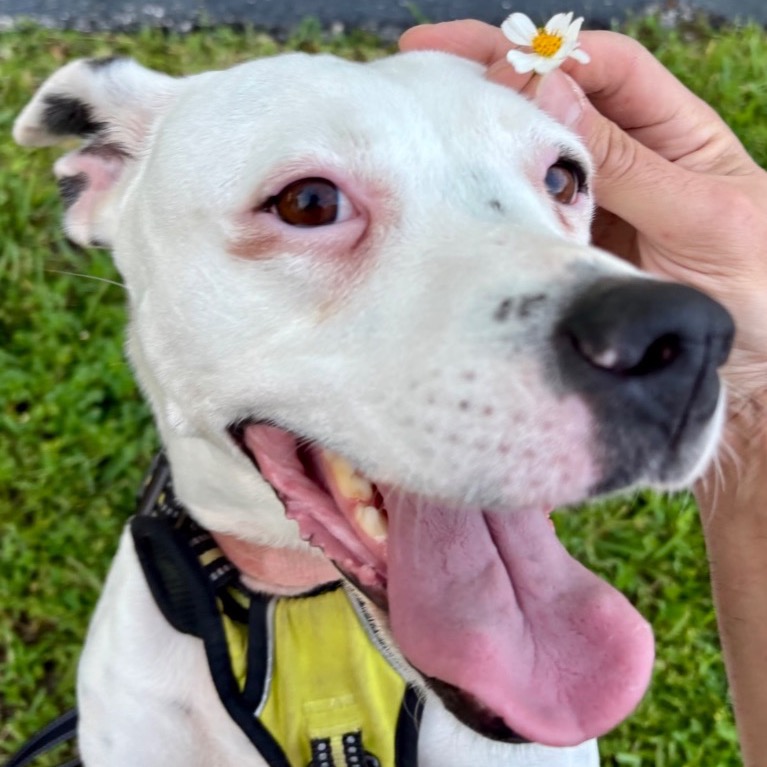 Photo of Nana playing