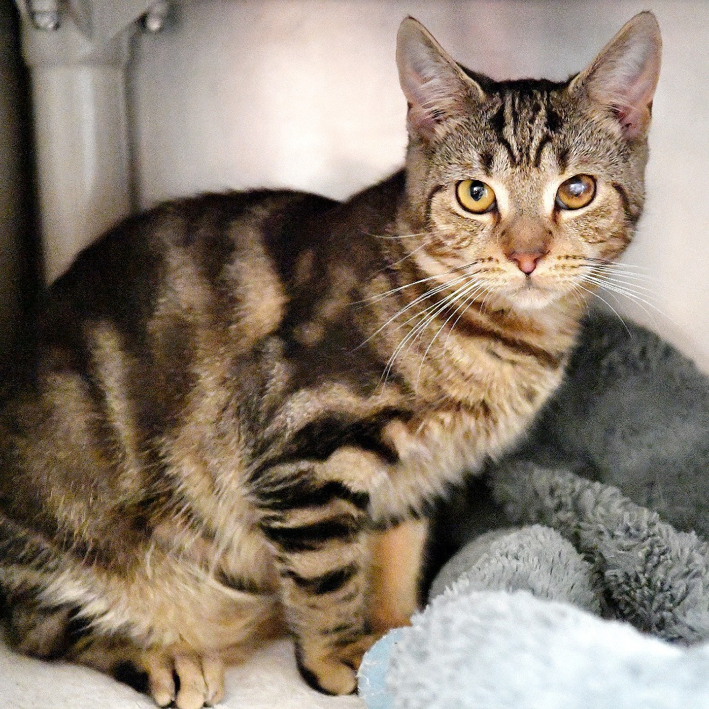 47b3797428f22f620ce4a7523d25f31f