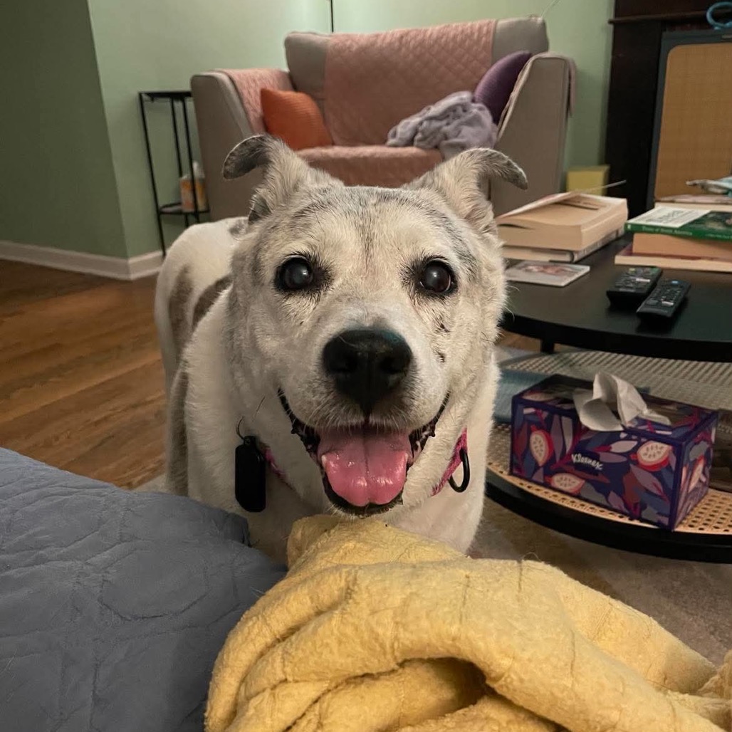 Miss Daisy, photo 11