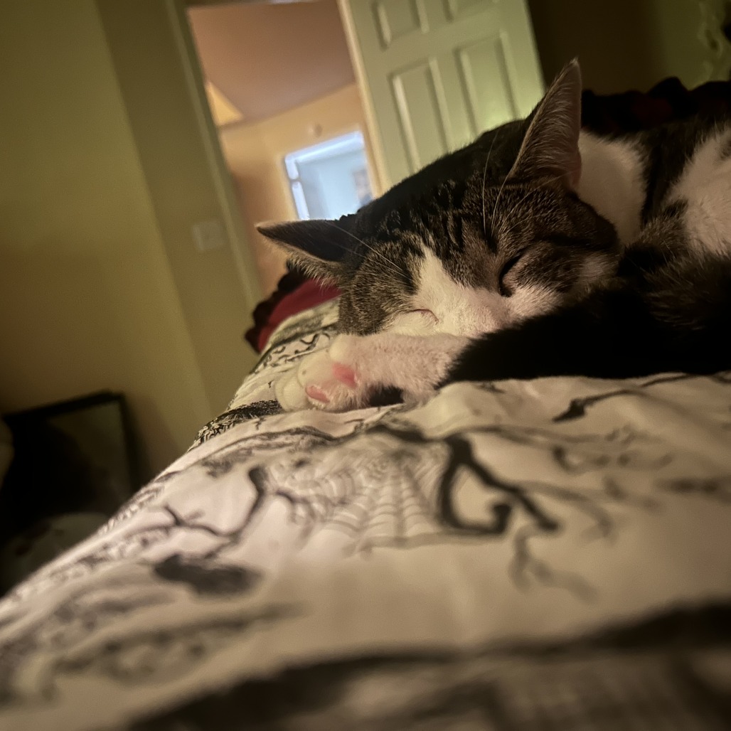 Fitz