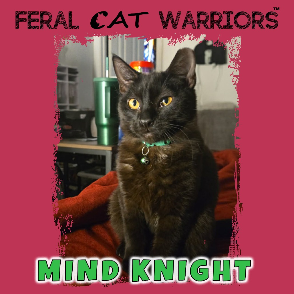 Mind Knight