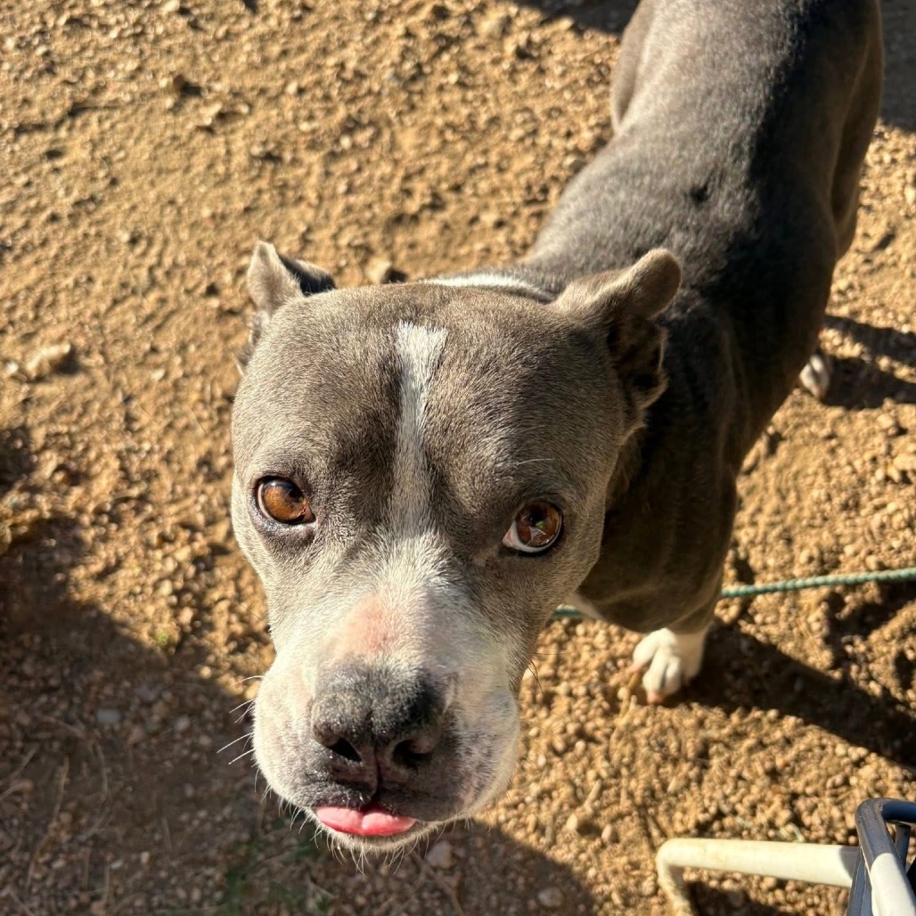 Goddess — thumbnail 10