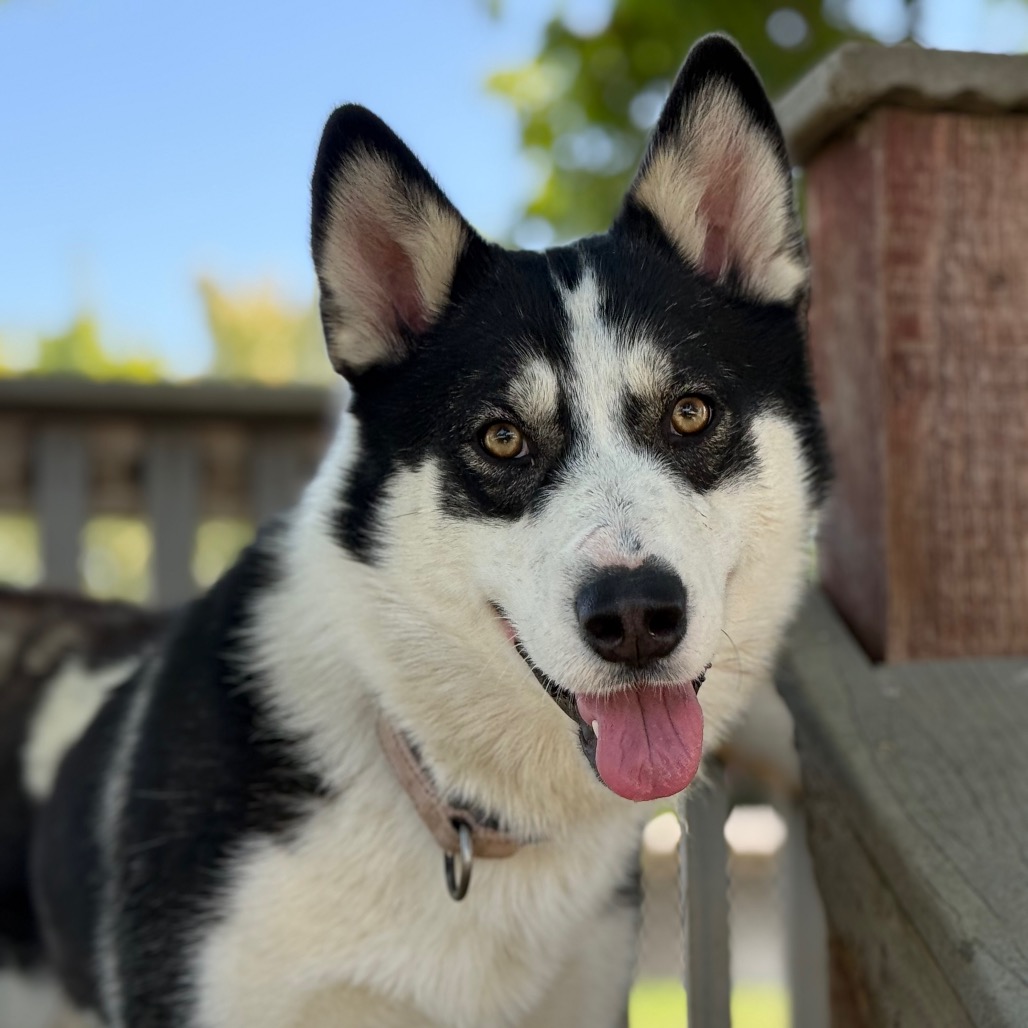 Gwen — thumbnail 5