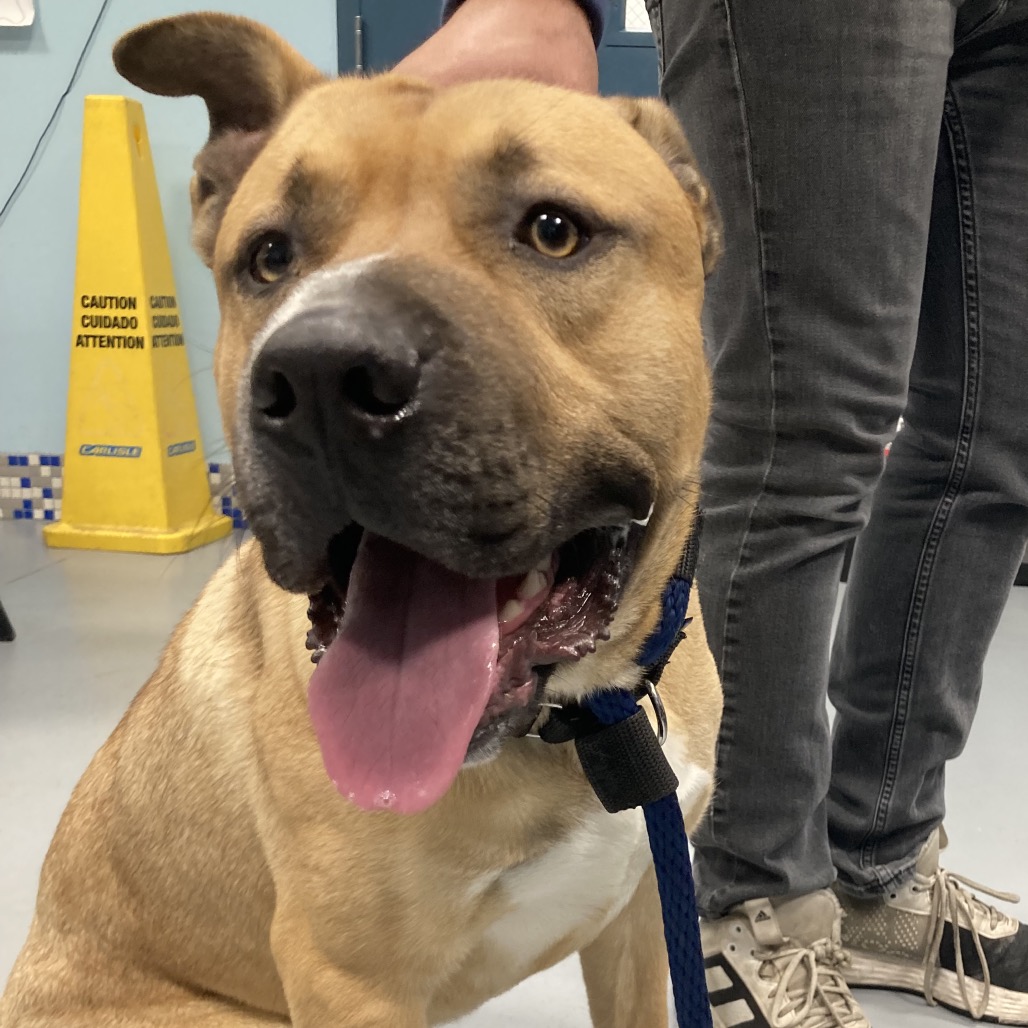 Kurosawa — thumbnail 2