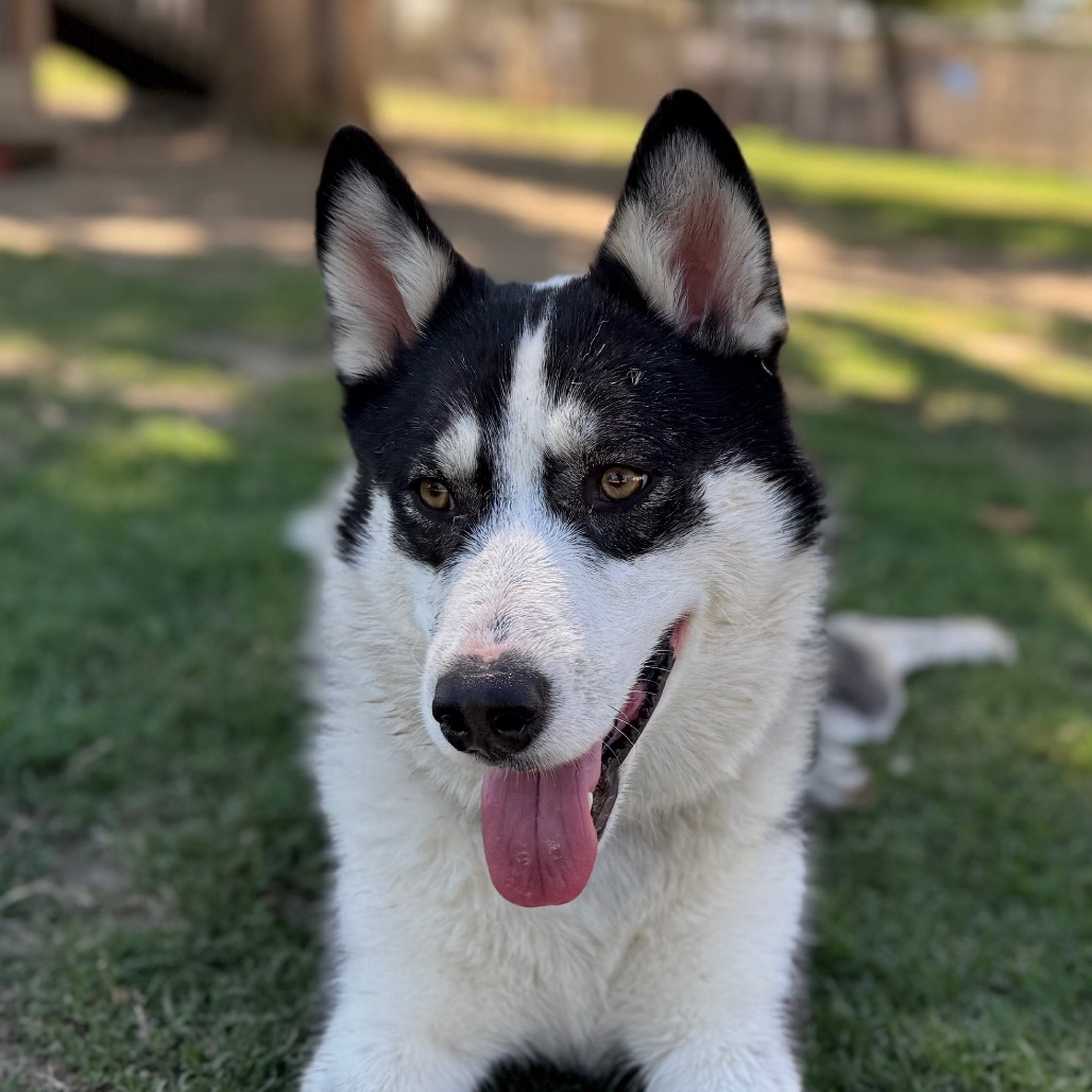 Gwen — thumbnail 4