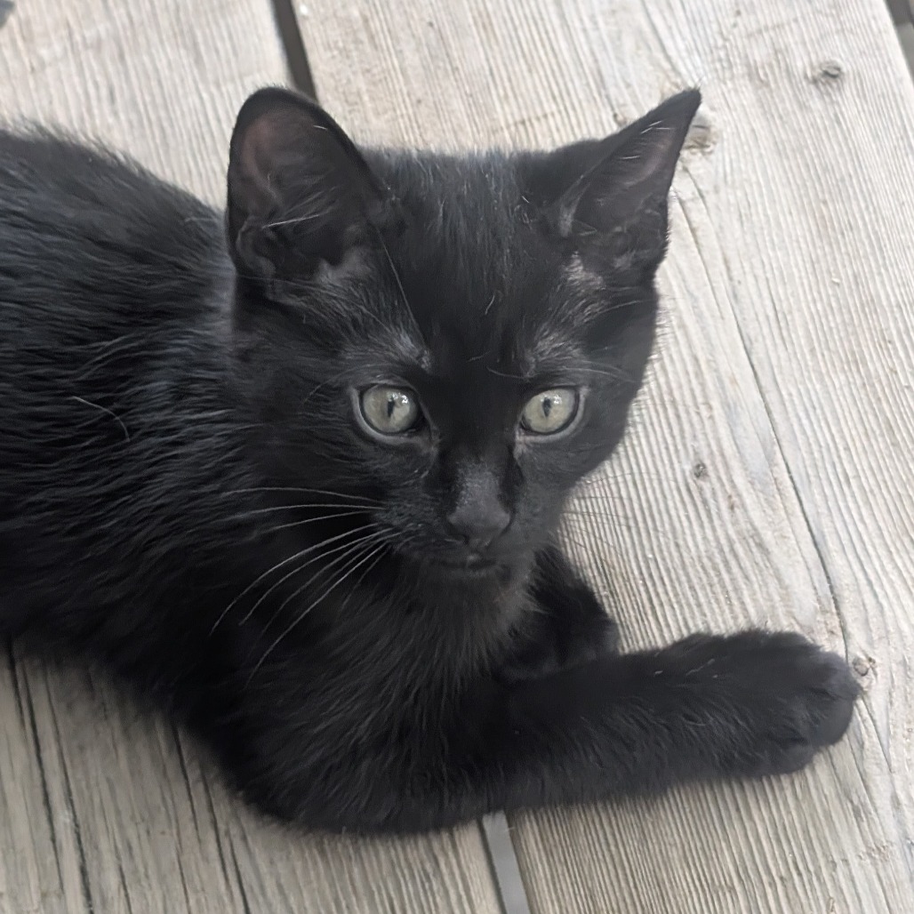 Sebastian
