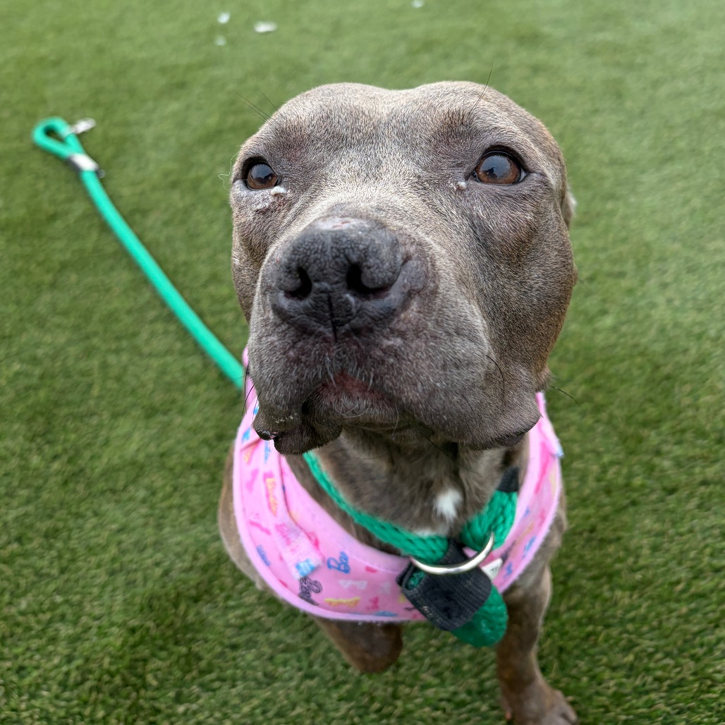 October — thumbnail 4