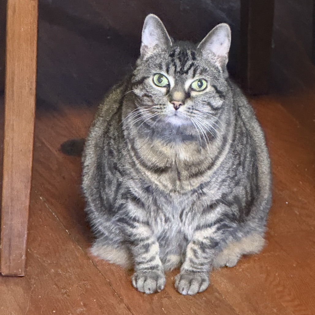 Photo of Gladys 