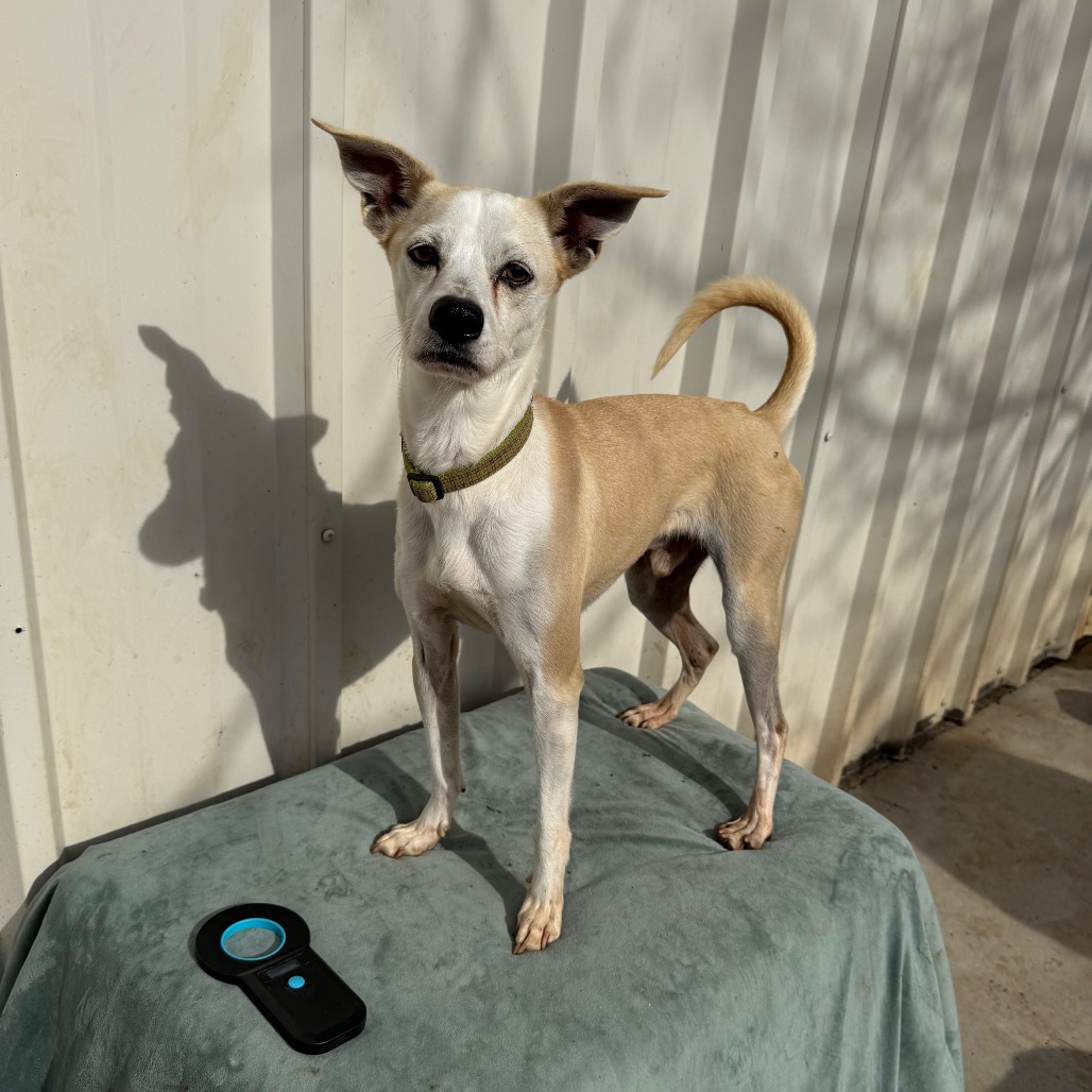 Fran — thumbnail 5