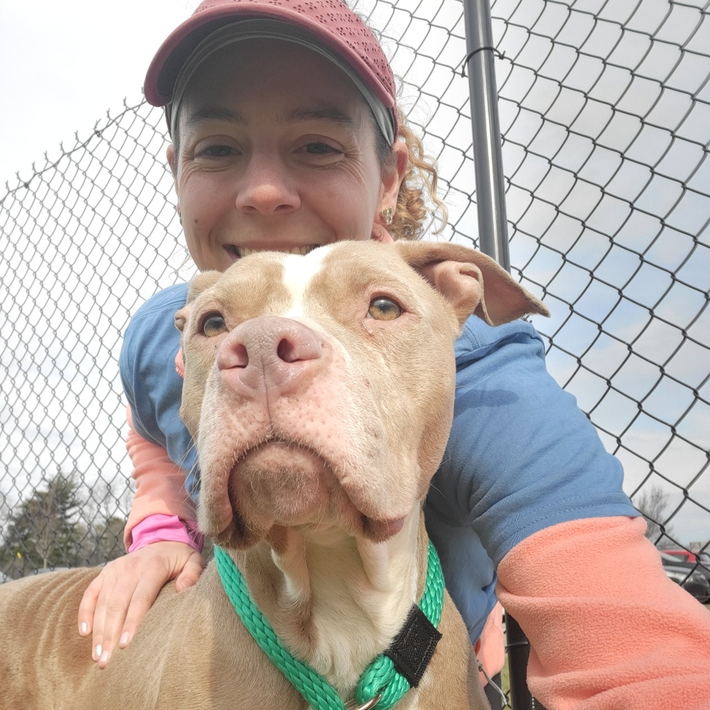 Momma Bear — thumbnail 2