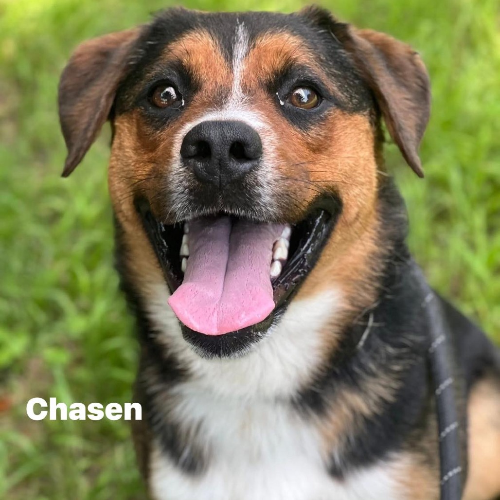Photo of Casen