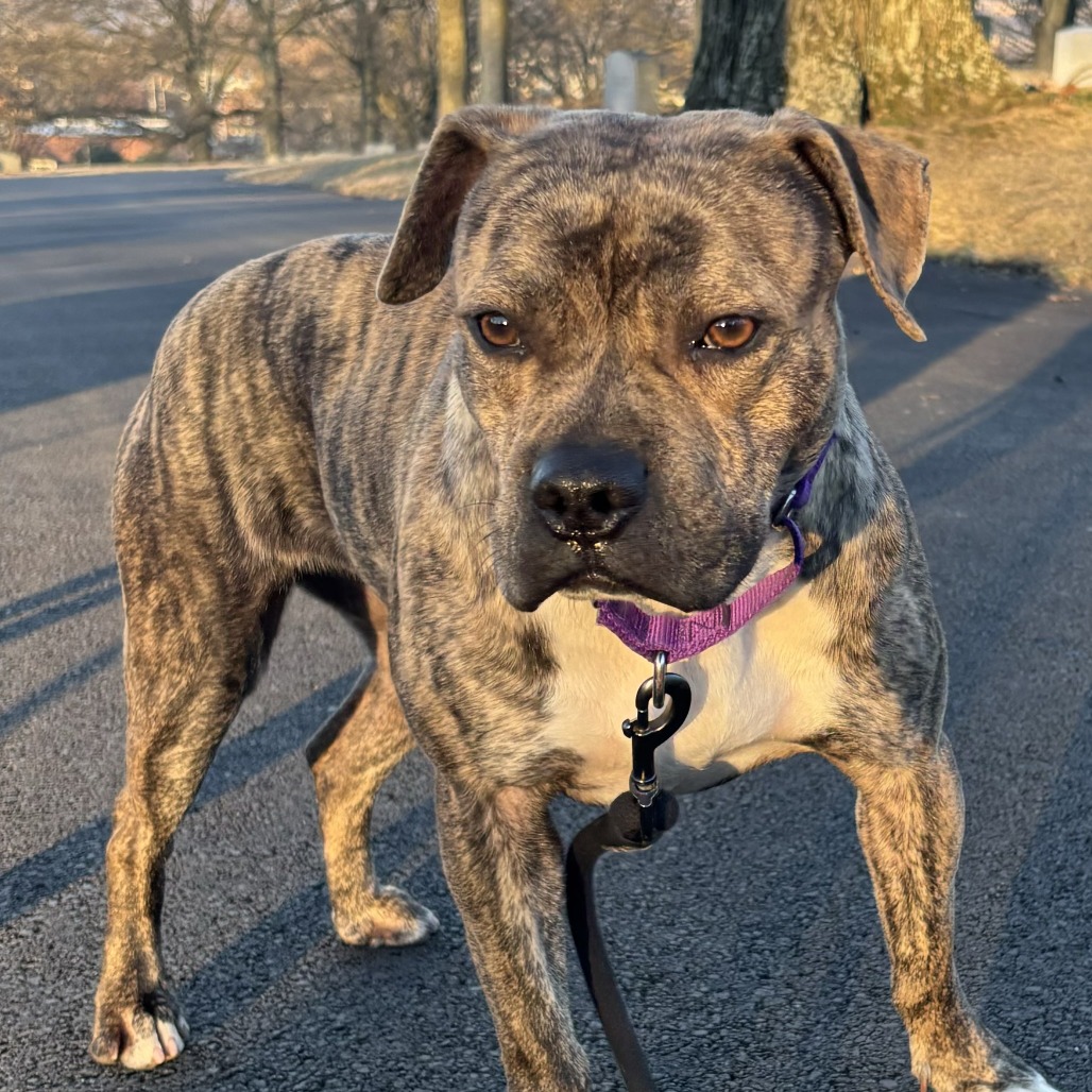 Photo of Baby Stripes 10