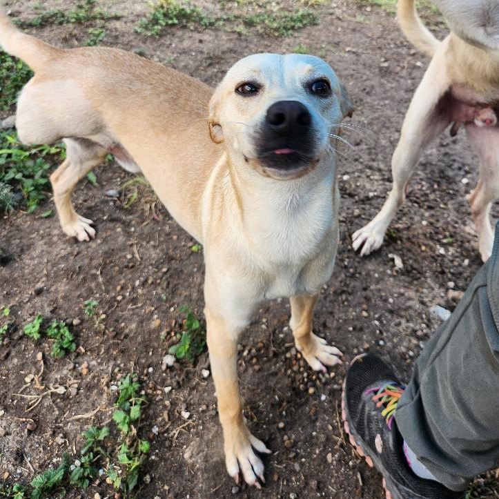 Skeeter photo 5