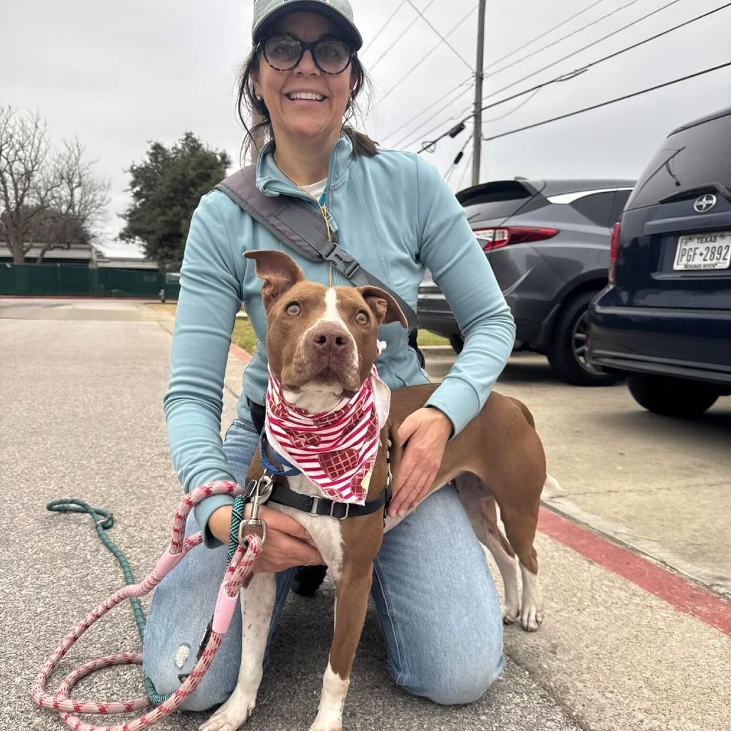 Princess Cheese Puff — thumbnail 9