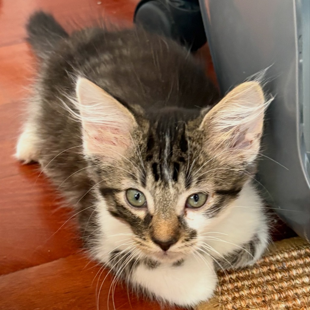 Photo of Edmund