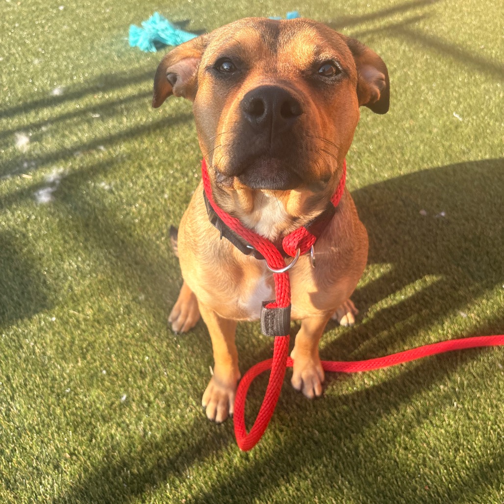 Cassie — thumbnail 5